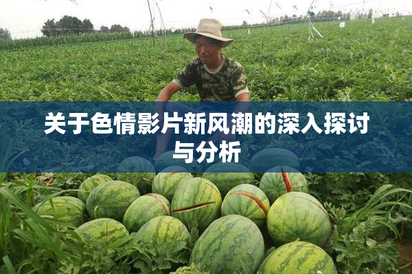 关于色情影片新风潮的深入探讨与分析