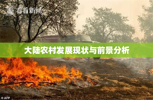 大陆农村发展现状与前景分析