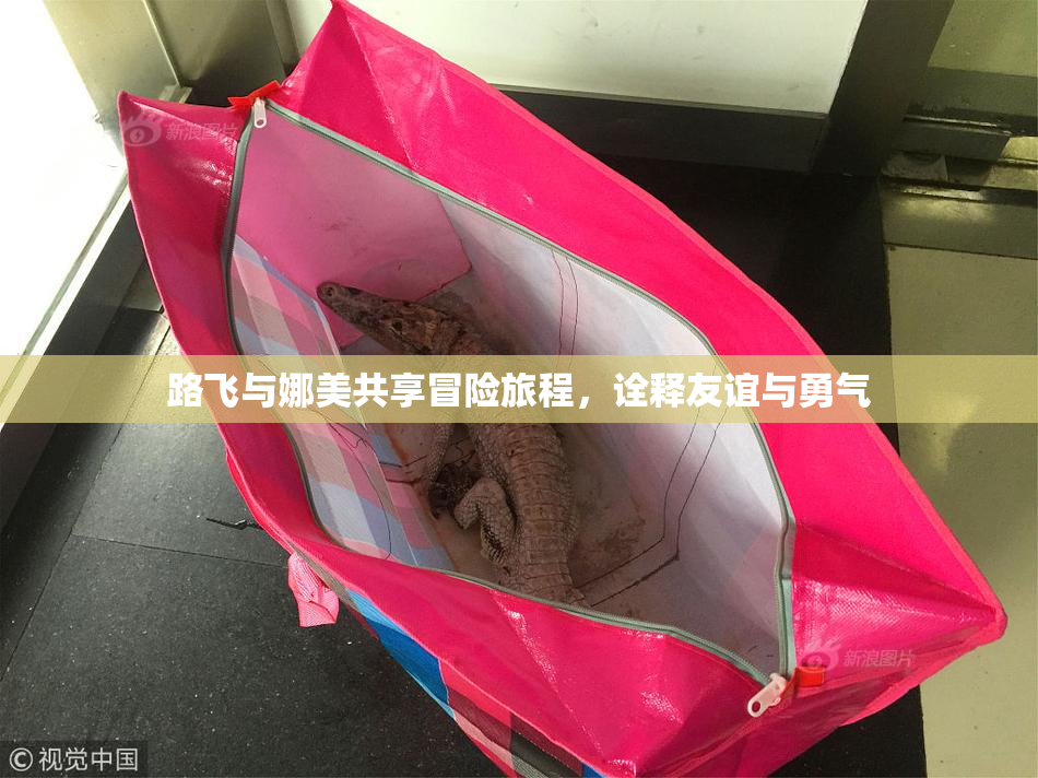 路飞与娜美共享冒险旅程，诠释友谊与勇气