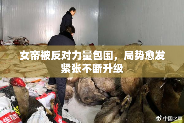 女帝被反对力量包围，局势愈发紧张不断升级