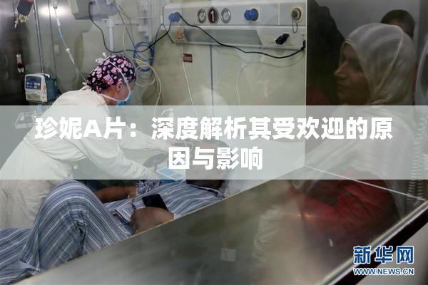珍妮A片：深度解析其受欢迎的原因与影响