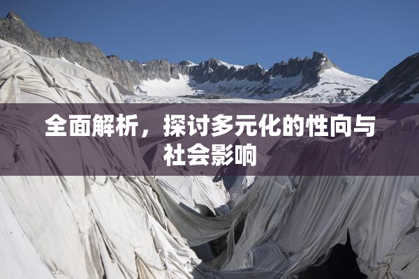 全面解析，探讨多元化的性向与社会影响