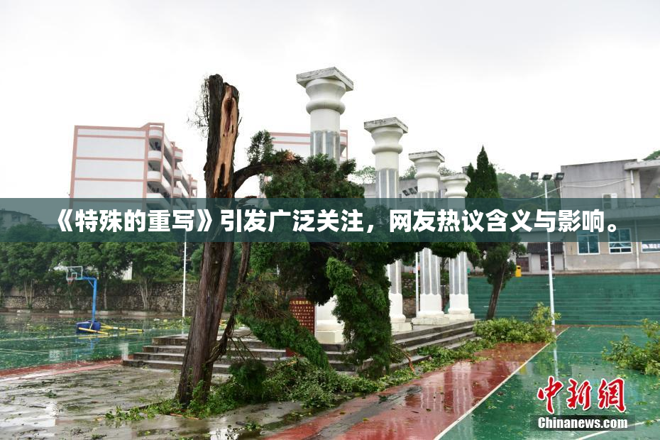 《特殊的重写》引发广泛关注，网友热议含义与影响。