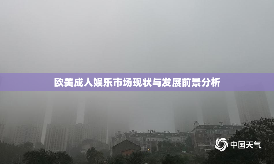 欧美成人娱乐市场现状与发展前景分析