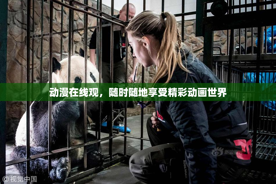 动漫在线观，随时随地享受精彩动画世界