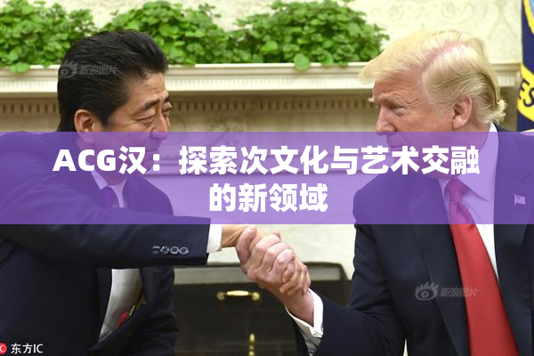 ACG汉：探索次文化与艺术交融的新领域