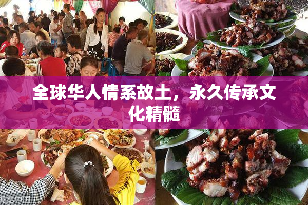 全球华人情系故土，永久传承文化精髓
