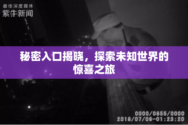 秘密入口揭晓，探索未知世界的惊喜之旅