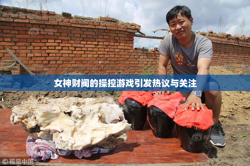 女神财阀的操控游戏引发热议与关注
