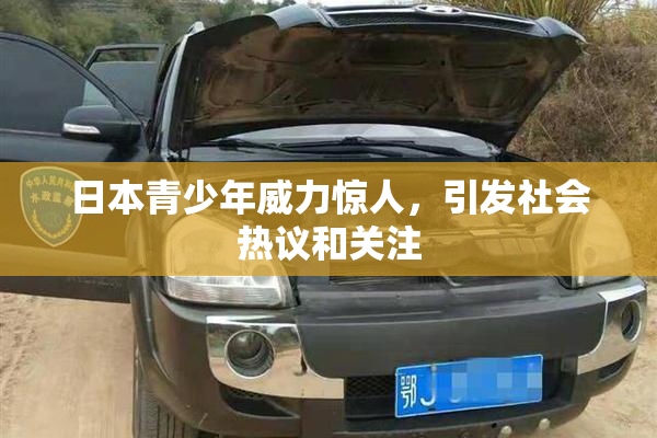 日本青少年威力惊人，引发社会热议和关注