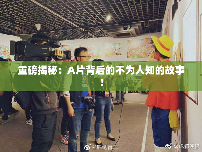 重磅揭秘：A片背后的不为人知的故事！