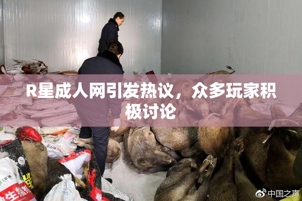 R星成人网引发热议，众多玩家积极讨论