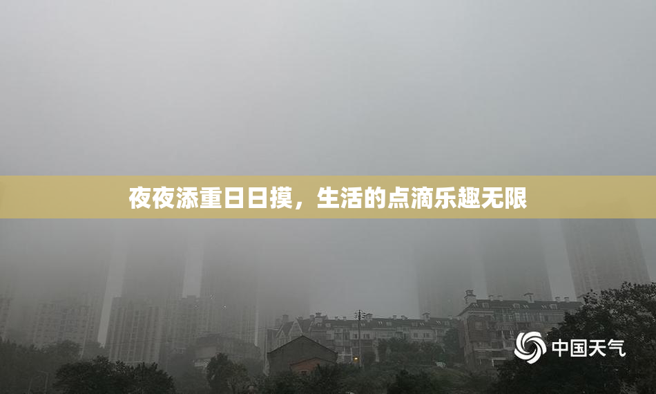 夜夜添重日日摸，生活的点滴乐趣无限