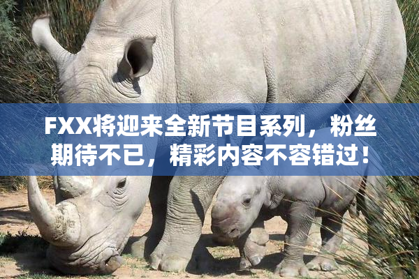 FXX将迎来全新节目系列，粉丝期待不已，精彩内容不容错过！