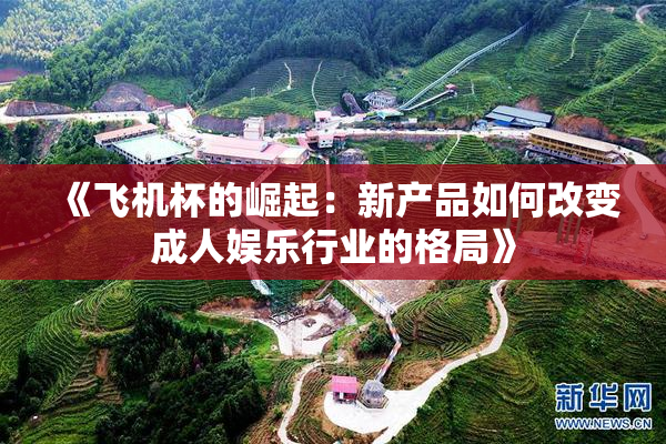 《飞机杯的崛起：新产品如何改变成人娱乐行业的格局》