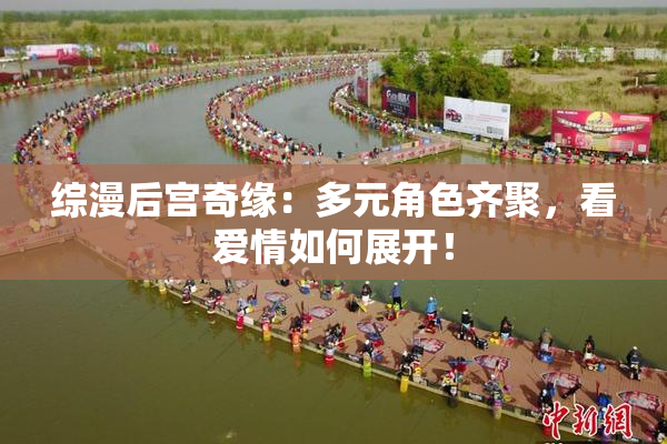 综漫后宫奇缘：多元角色齐聚，看爱情如何展开！