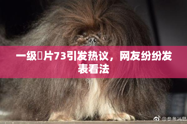 一级婬片73引发热议，网友纷纷发表看法