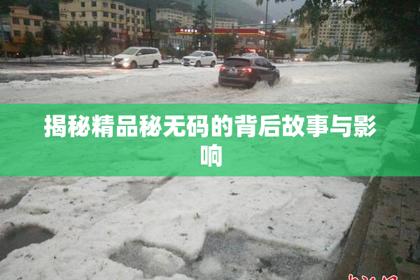 揭秘精品秘无码的背后故事与影响