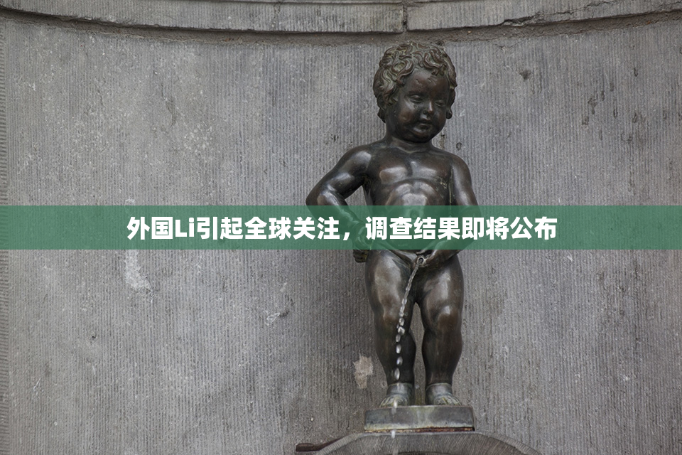 外国Li引起全球关注，调查结果即将公布