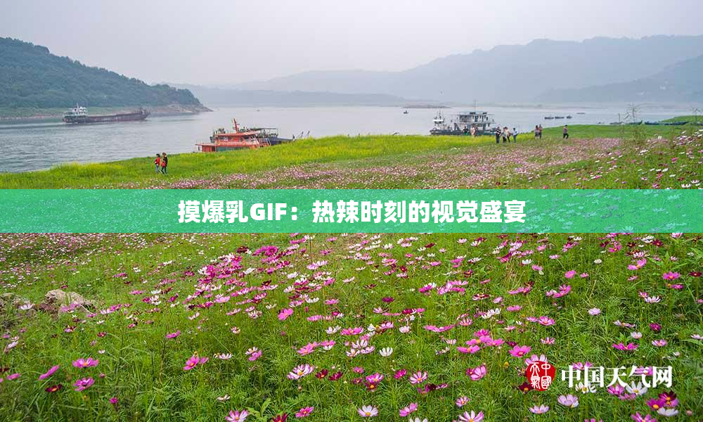 摸爆乳GIF：热辣时刻的视觉盛宴