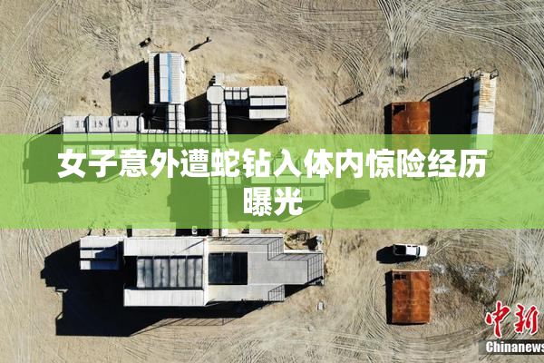 女子意外遭蛇钻入体内惊险经历曝光