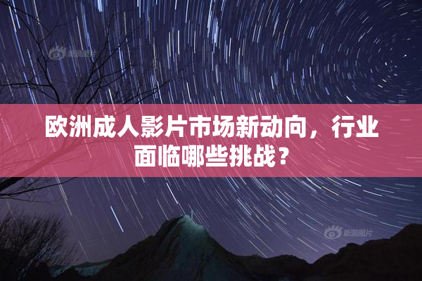 欧洲成人影片市场新动向，行业面临哪些挑战？