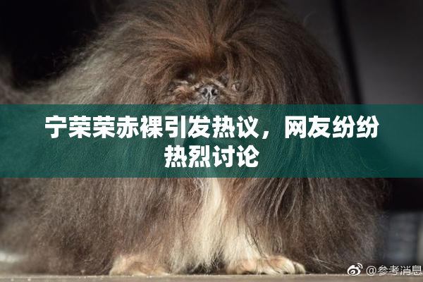 宁荣荣赤裸引发热议，网友纷纷热烈讨论