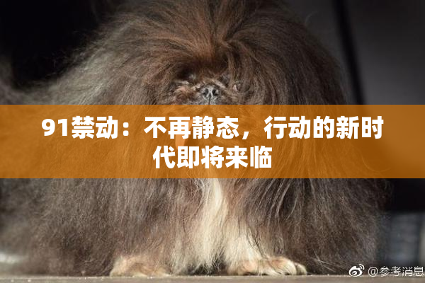 91禁动：不再静态，行动的新时代即将来临