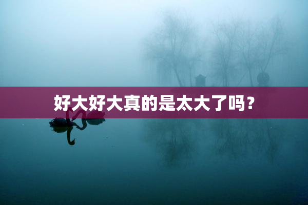 好大好大真的是太大了吗？