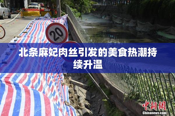 北条麻妃肉丝引发的美食热潮持续升温