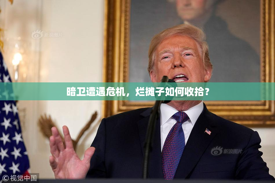暗卫遭遇危机，烂摊子如何收拾？