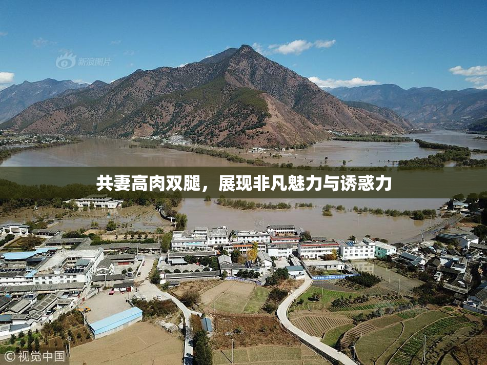 共妻高肉双腿，展现非凡魅力与诱惑力