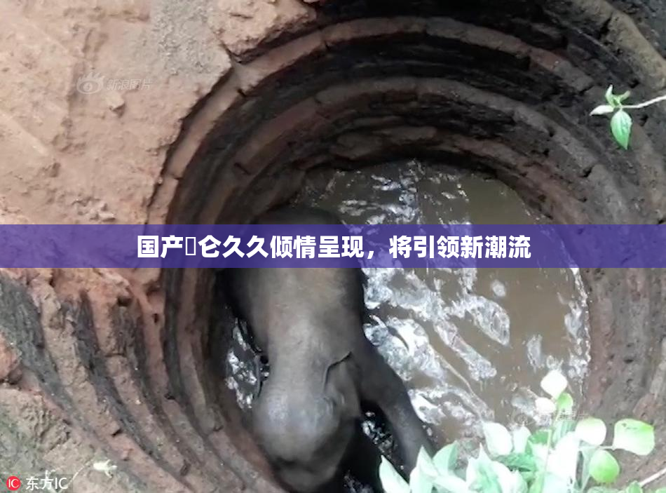 国产婬仑久久倾情呈现，将引领新潮流
