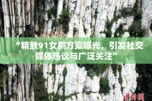 “精致91女厕方案曝光，引发社交媒体热议与广泛关注”