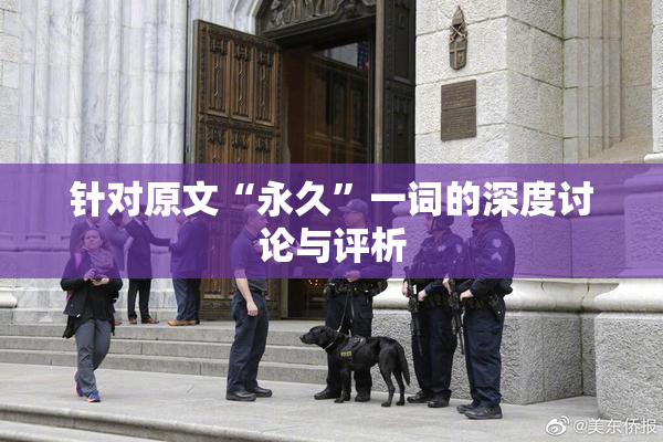 针对原文“永久”一词的深度讨论与评析