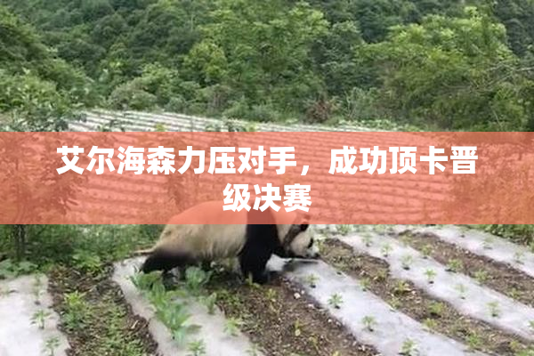 艾尔海森力压对手，成功顶卡晋级决赛
