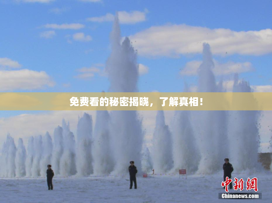 免费看的秘密揭晓，了解真相！