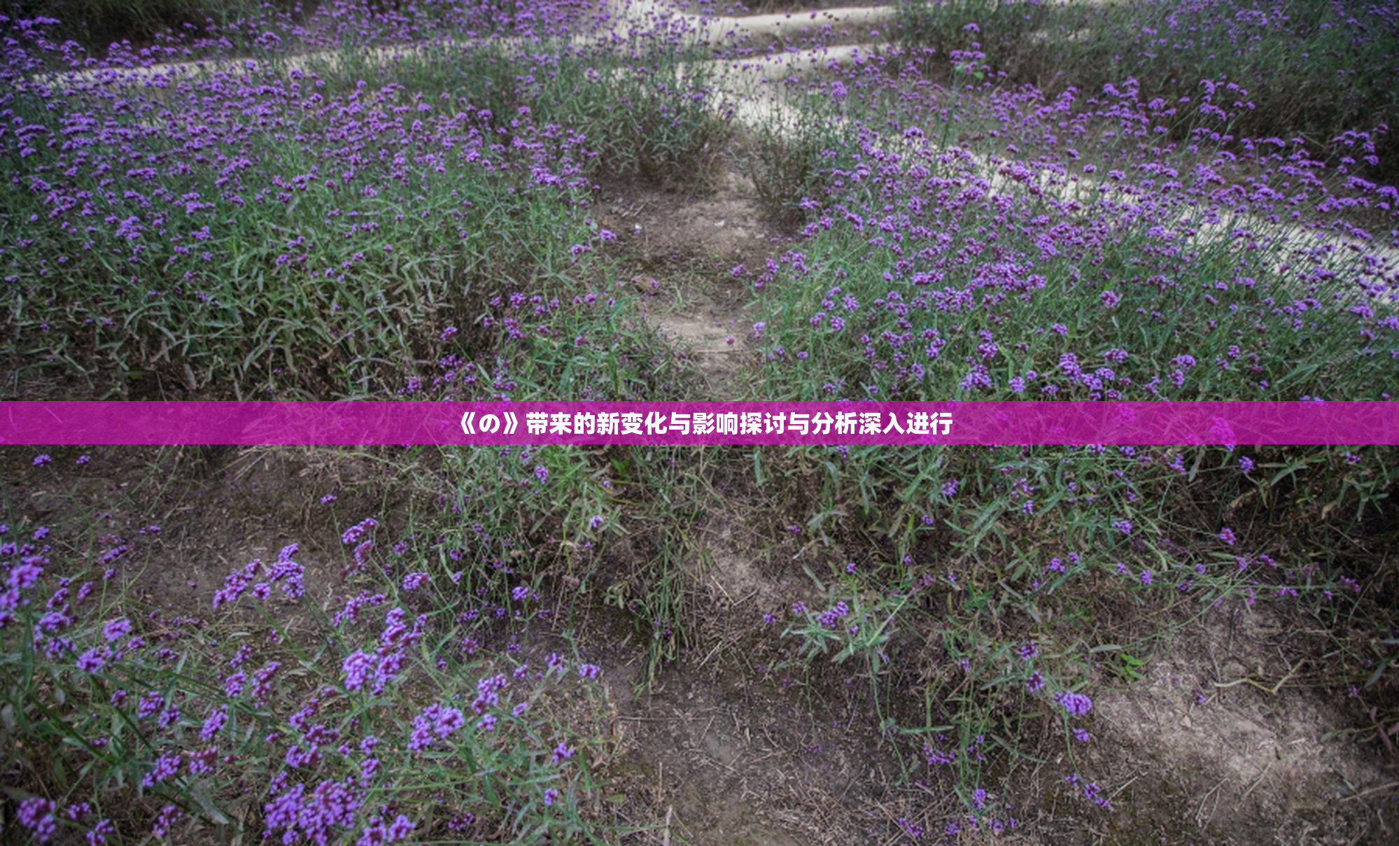 《の》带来的新变化与影响探讨与分析深入进行