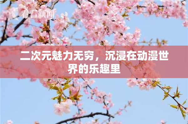二次元魅力无穷，沉浸在动漫世界的乐趣里