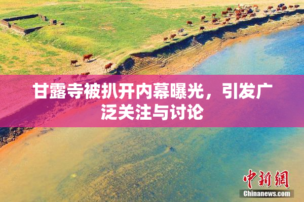 甘露寺被扒开内幕曝光，引发广泛关注与讨论