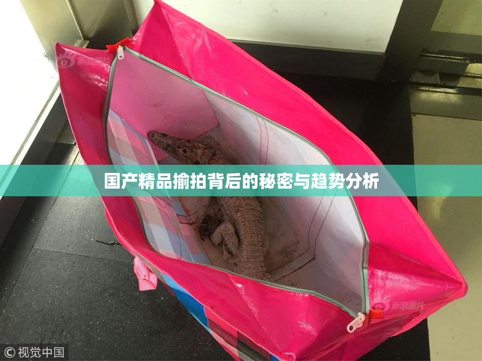 国产精品揄拍背后的秘密与趋势分析