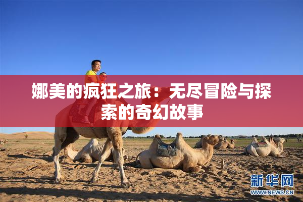娜美的疯狂之旅：无尽冒险与探索的奇幻故事