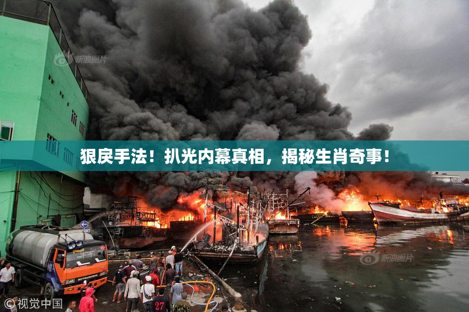 狠戾手法！扒光内幕真相，揭秘生肖奇事！