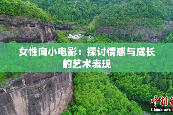 女性向小电影：探讨情感与成长的艺术表现