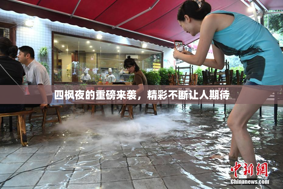 四枫夜的重磅来袭，精彩不断让人期待