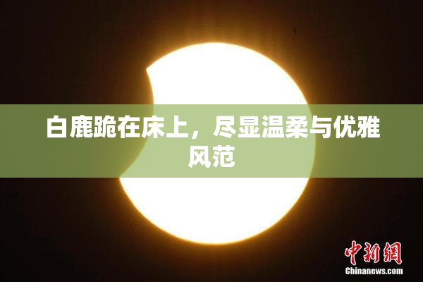 白鹿跪在床上，尽显温柔与优雅风范
