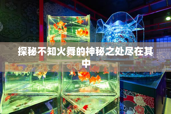 探秘不知火舞的神秘之处尽在其中