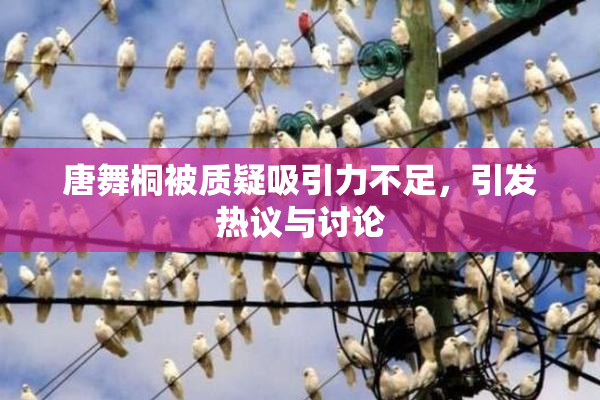 唐舞桐被质疑吸引力不足，引发热议与讨论