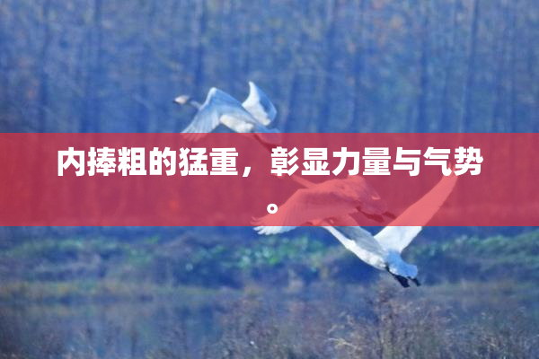 内捧粗的猛重，彰显力量与气势。