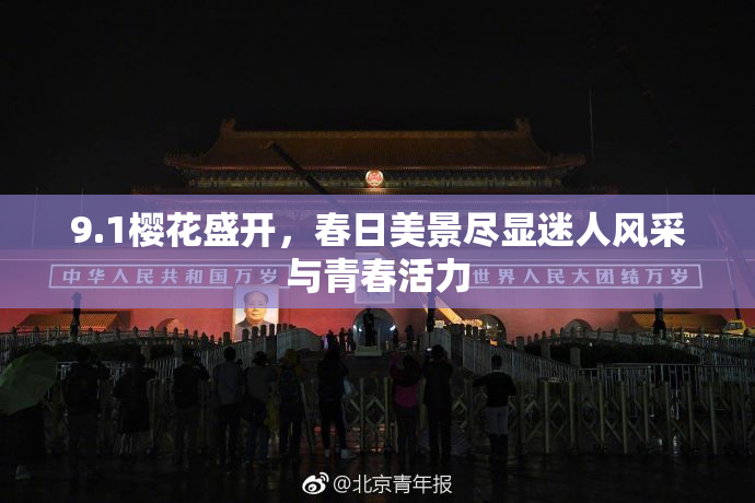 9.1樱花盛开，春日美景尽显迷人风采与青春活力